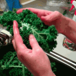 Rinsing the Kale